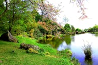 春天的公园宁静宜人，绿意盎然，湖水平静