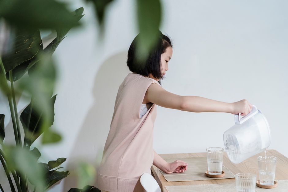 water filter for renters no installation
