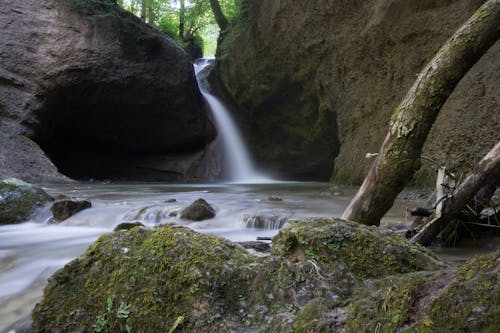 岩石, 峽谷, 森林景觀 的 免費圖庫相片