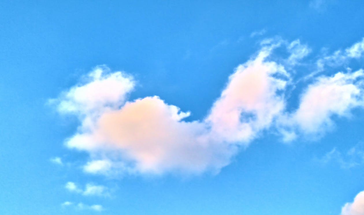Free stock photo of clouds, sun, tree