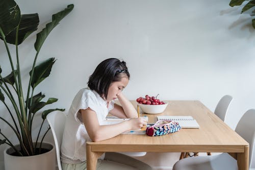 Free Young Girl Studying at a Table Stock Photo
