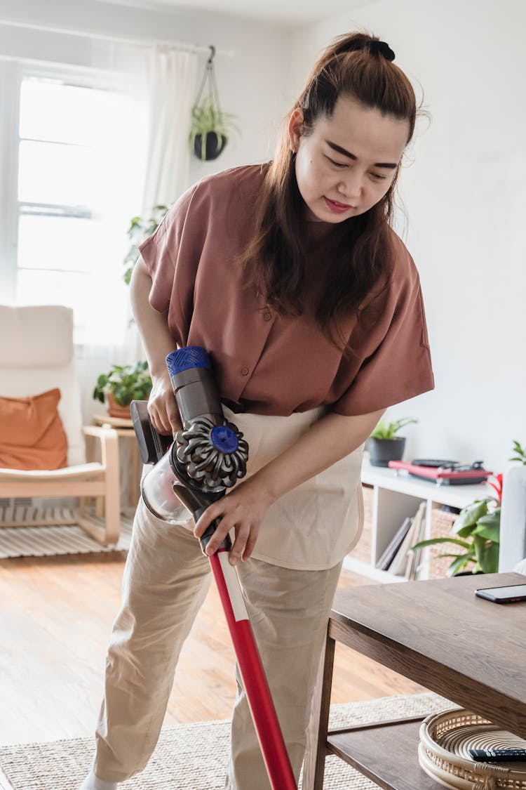 Woman Cleaning The House 