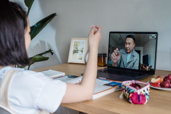 Child in an online class via video call