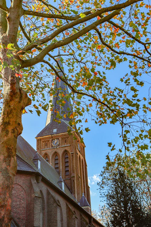 Free stock photo of church, inner city