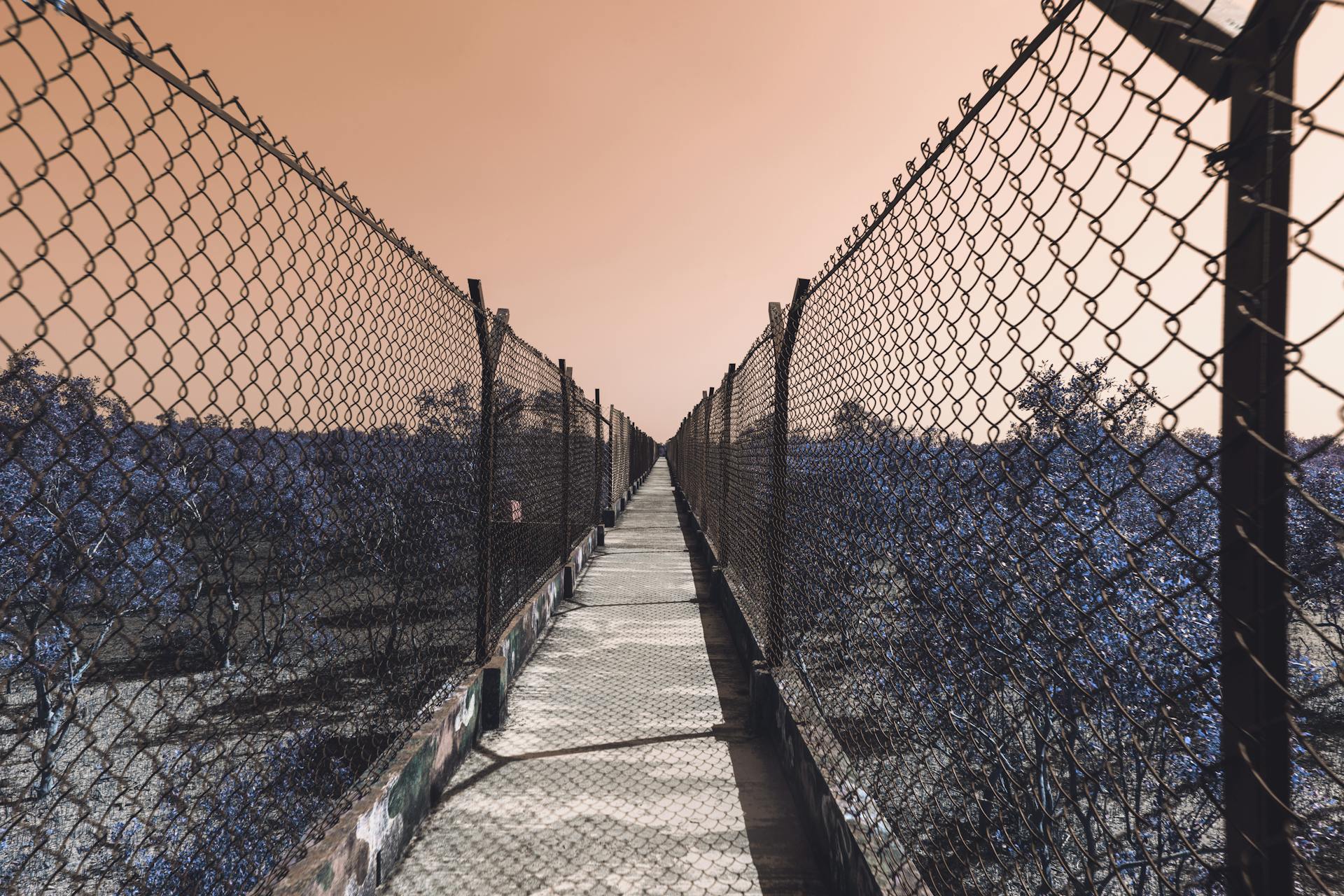 A surreal passageway between chain link fences under a distinctive sky, creating leading lines.