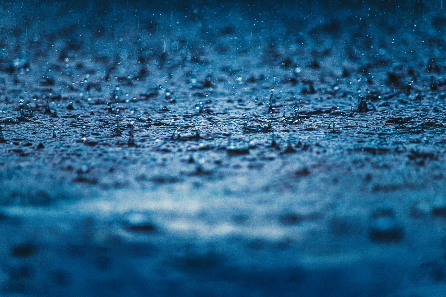 Rain-soaked Sha Tin racecourse with horses galloping through visible surface spray
