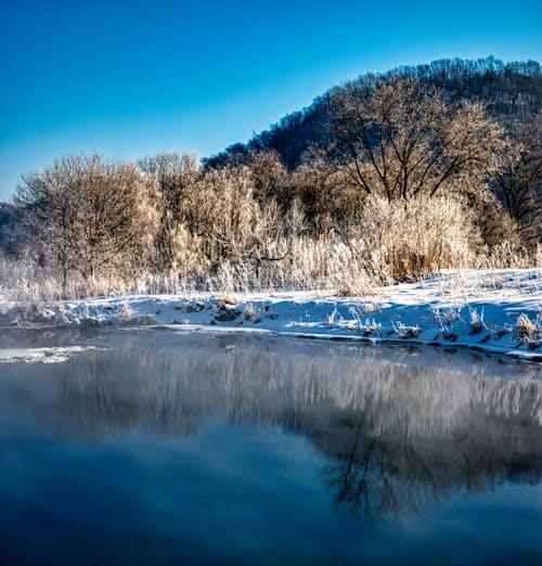 Winter Landscape with Trees Reflecting in Water 