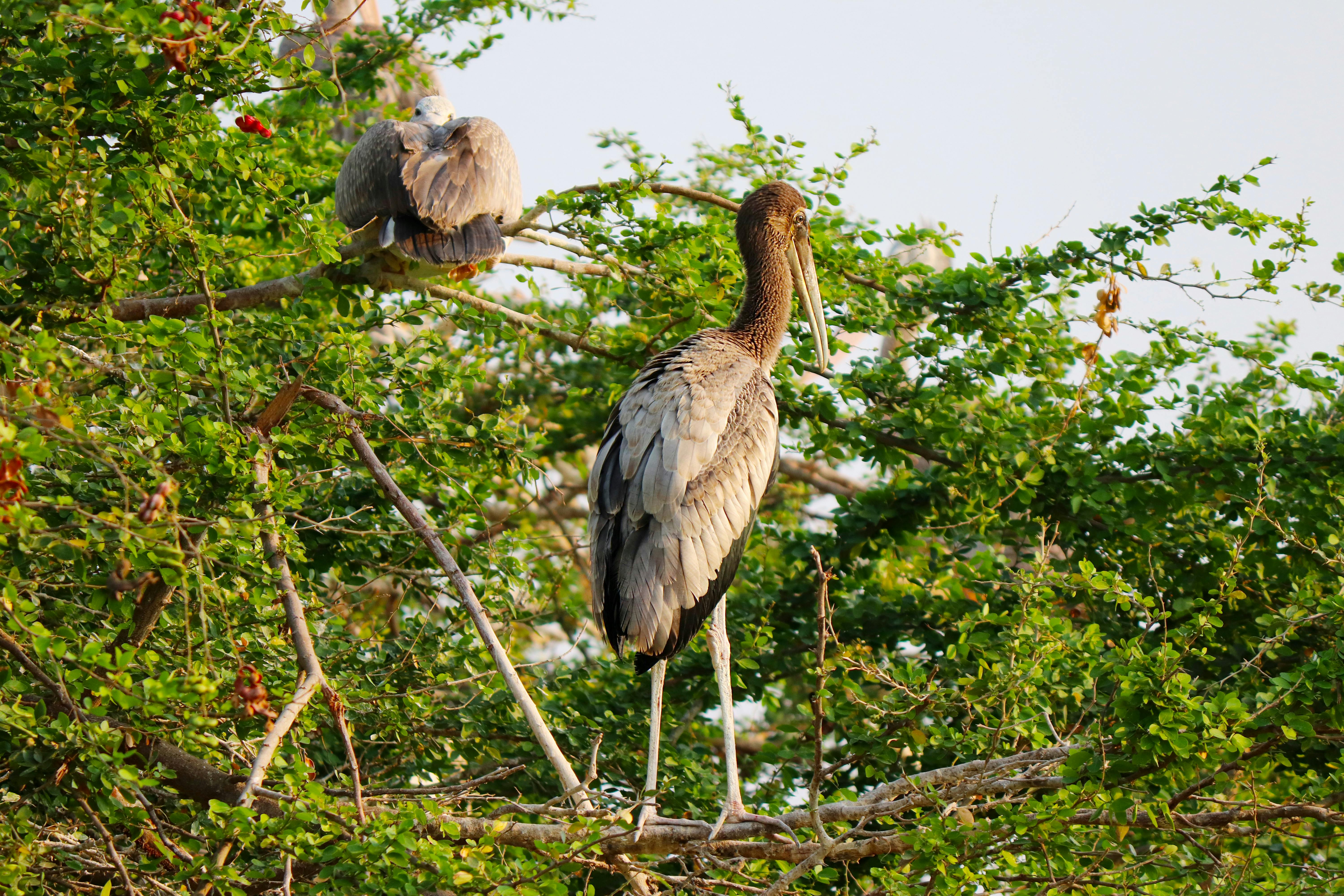 Indian Onlyfan Leak Photos, Download The BEST Free Indian Onlyfan Leak Stock Photos & HD Images