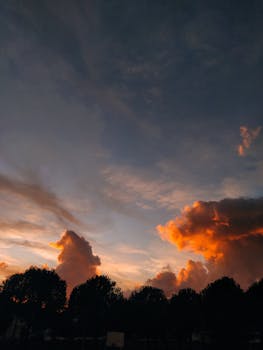 A stunning sunset with vibrant clouds over silhouetted trees in Akbük, Turkey.