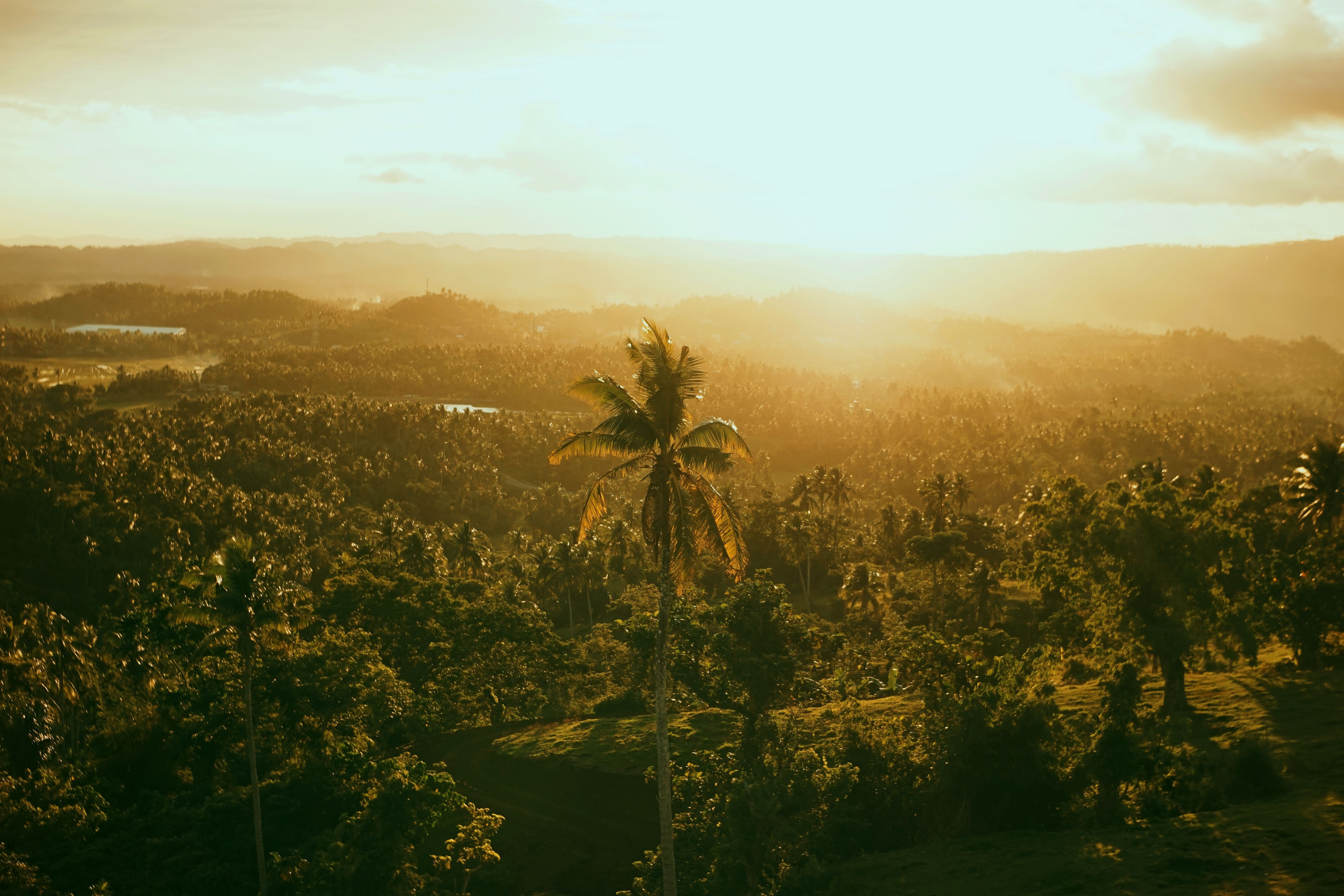 6/25/26 – FIRST PACIFIC CLIMATE SUMMIT CONCLUDES WITH JOINT COMMITMENT TO REGIONAL RESILIENCE — Photo by Alexis Ricardo Alaur