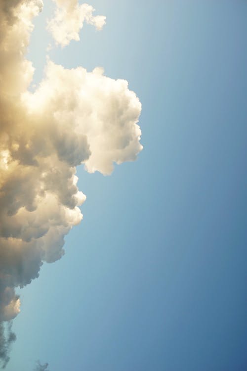 Gratis lagerfoto af blå himmel, blød, Cumulus