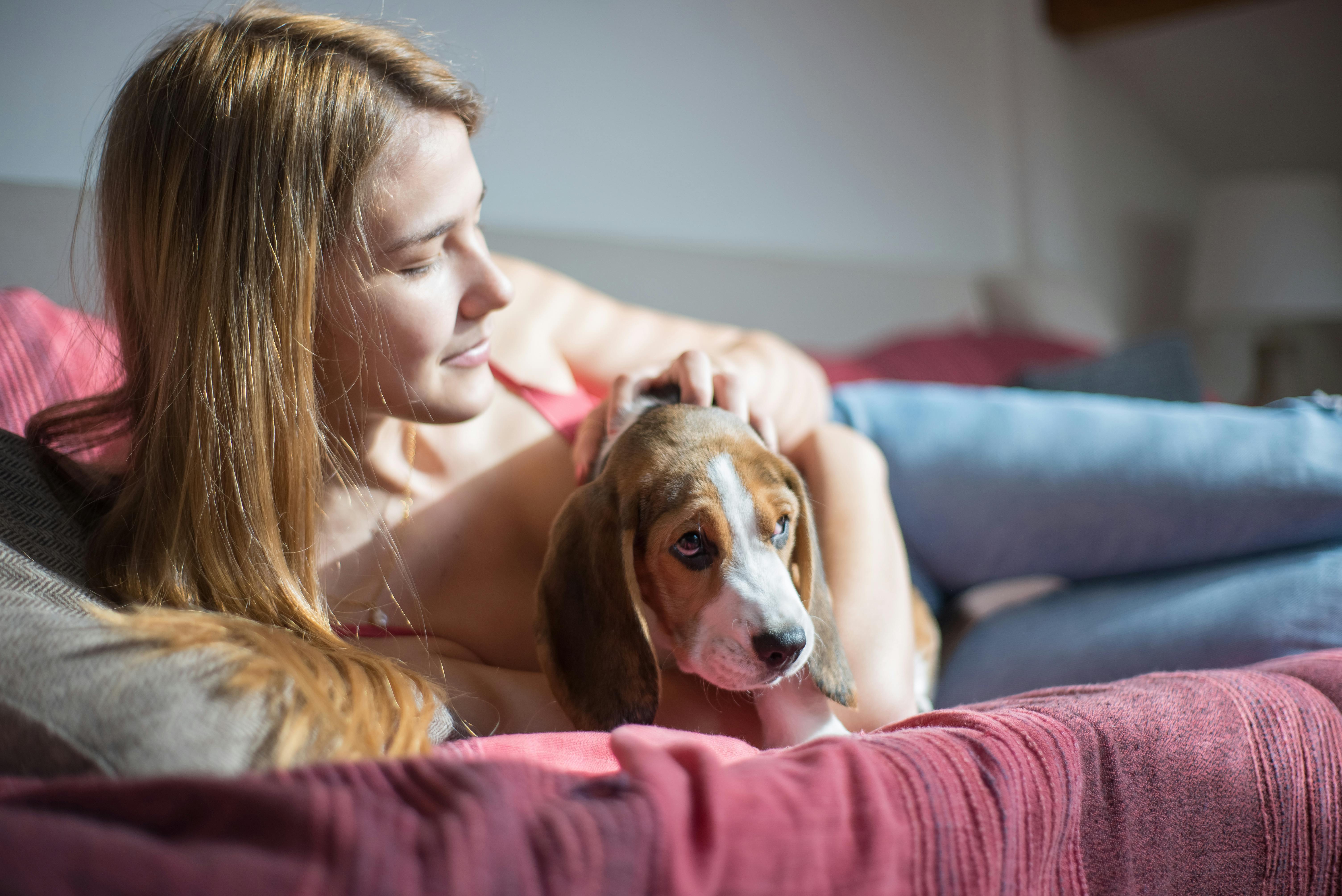 Financing for Fido? Pet insurance gains attention as lifetime costs for pets soar — Photo by Kampus Production on Pexels