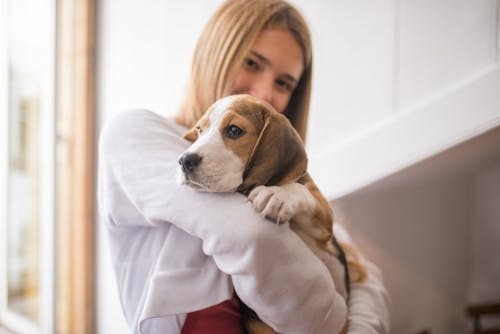 Woman Cuddling a Puppy While Standing