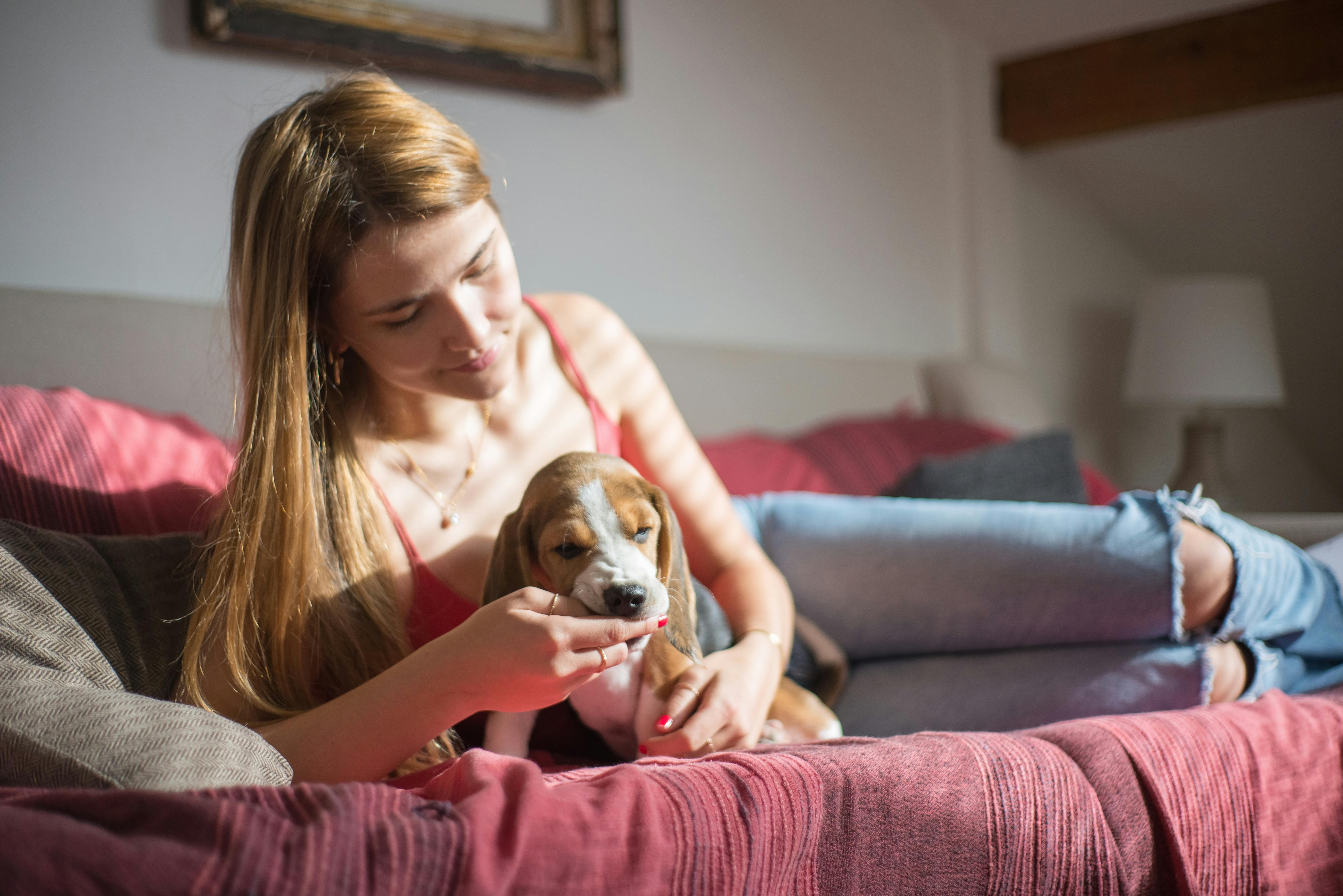 FinTech Pet Care Company Kennel Connection Announces Exclusive Diagnostic Partnership with Petwealth, Bringing Clinical-Grade