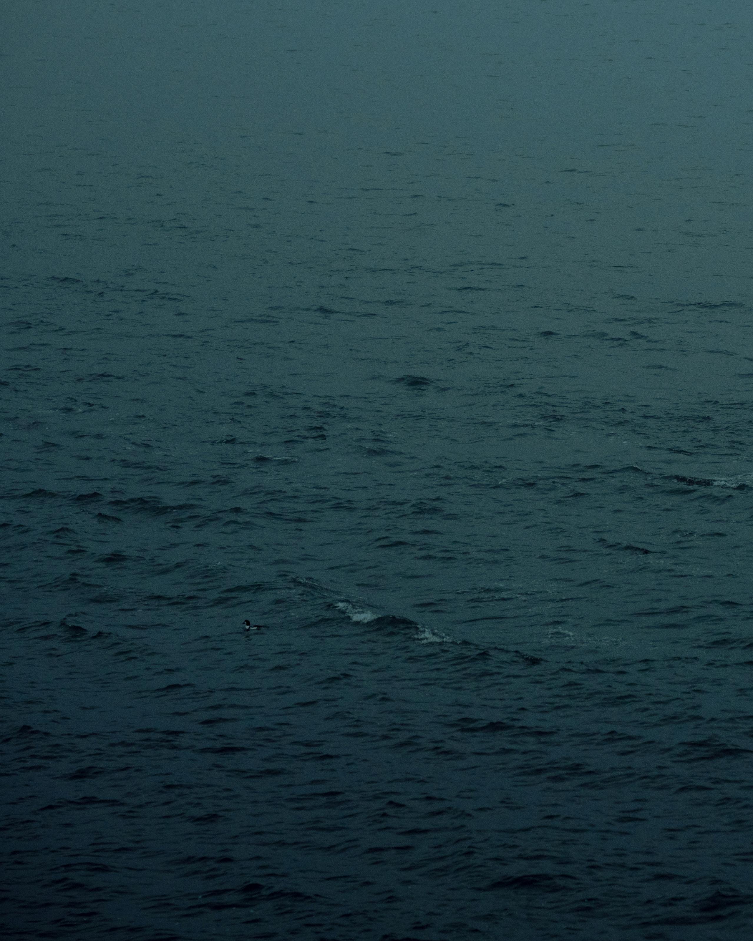 A calm and tranquil view of the Canadian sea under a dusky sky, showcasing natural beauty.