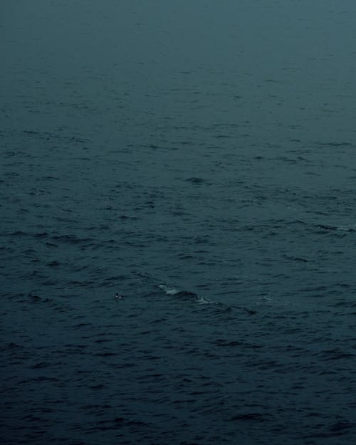 Бесплатное стоковое фото с вертикальный выстрел, водоем, море