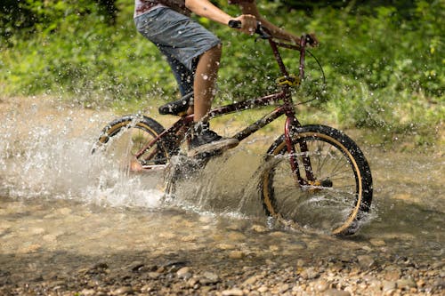 Free A Person Riding a Bike in Brook Stock Photo