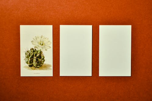 artistik, boş kağıt, çiçek içeren Ücretsiz stok fotoğraf