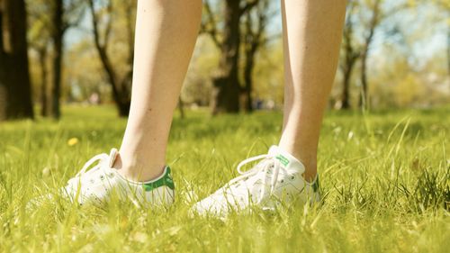 Free Close-up of white sneakers standing on lush green grass in a sunny park setting. Stock Photo