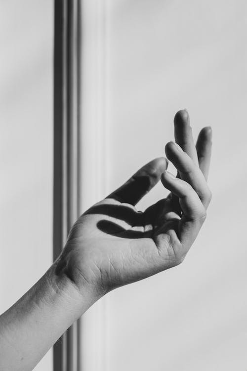 Black and White Photo of Person's Hand