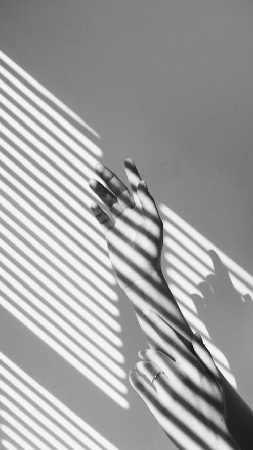 Foto profissional grátis de escala de cinza, mão, monocromático