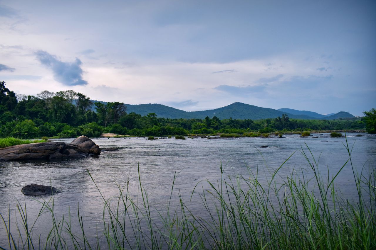 a tranquil evening landscape with a lake lush greenery and distant mou