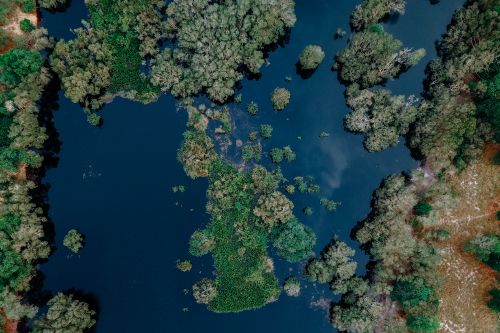 Free Picturesque drone view of calm river flowing through lush trees growing in wild nature Stock Photo