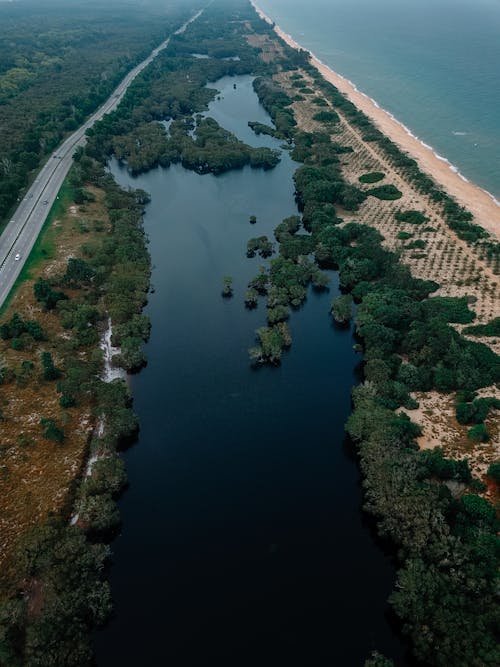 Picturesque drone view of calm river surrounded by lush trees flowing between asphalt road and ocean with sandy beach
