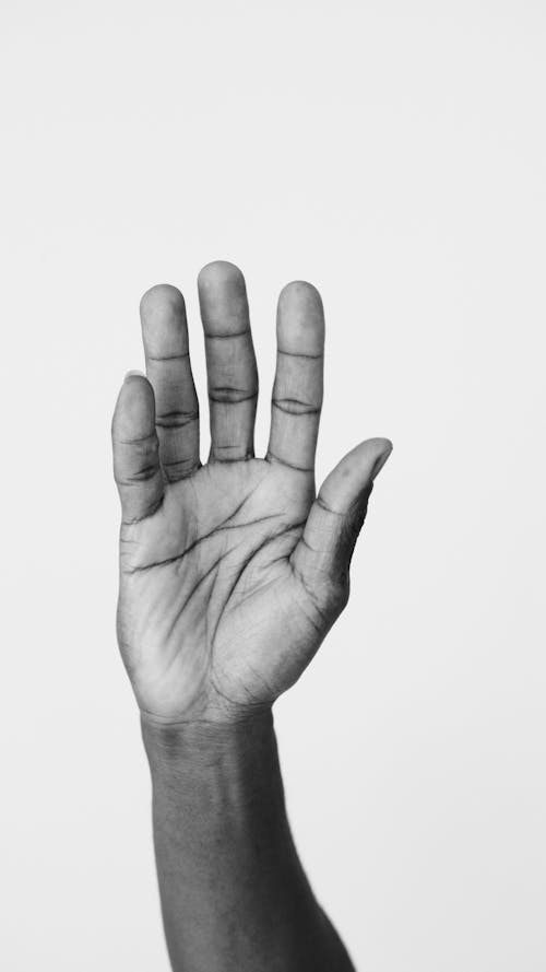 Monochrome Photo of a Person's Hand