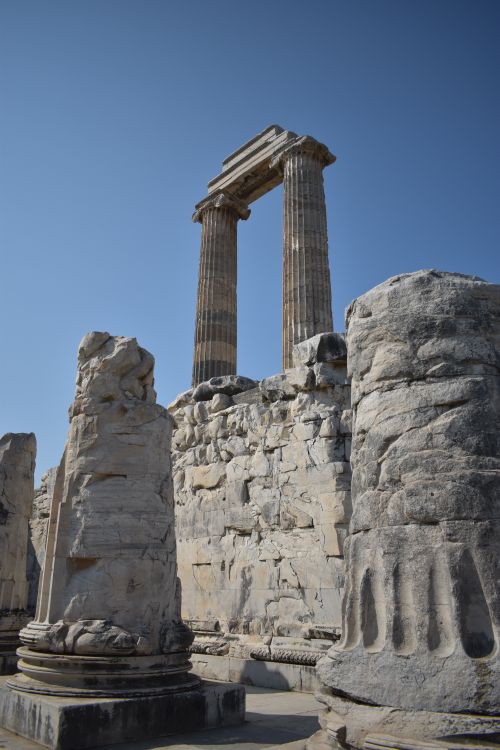 Free Explore the ancient ruins of the Temple of Apollo, featuring towering marble columns under a clear blue sky in Aydın, Turkey. Stock Photo