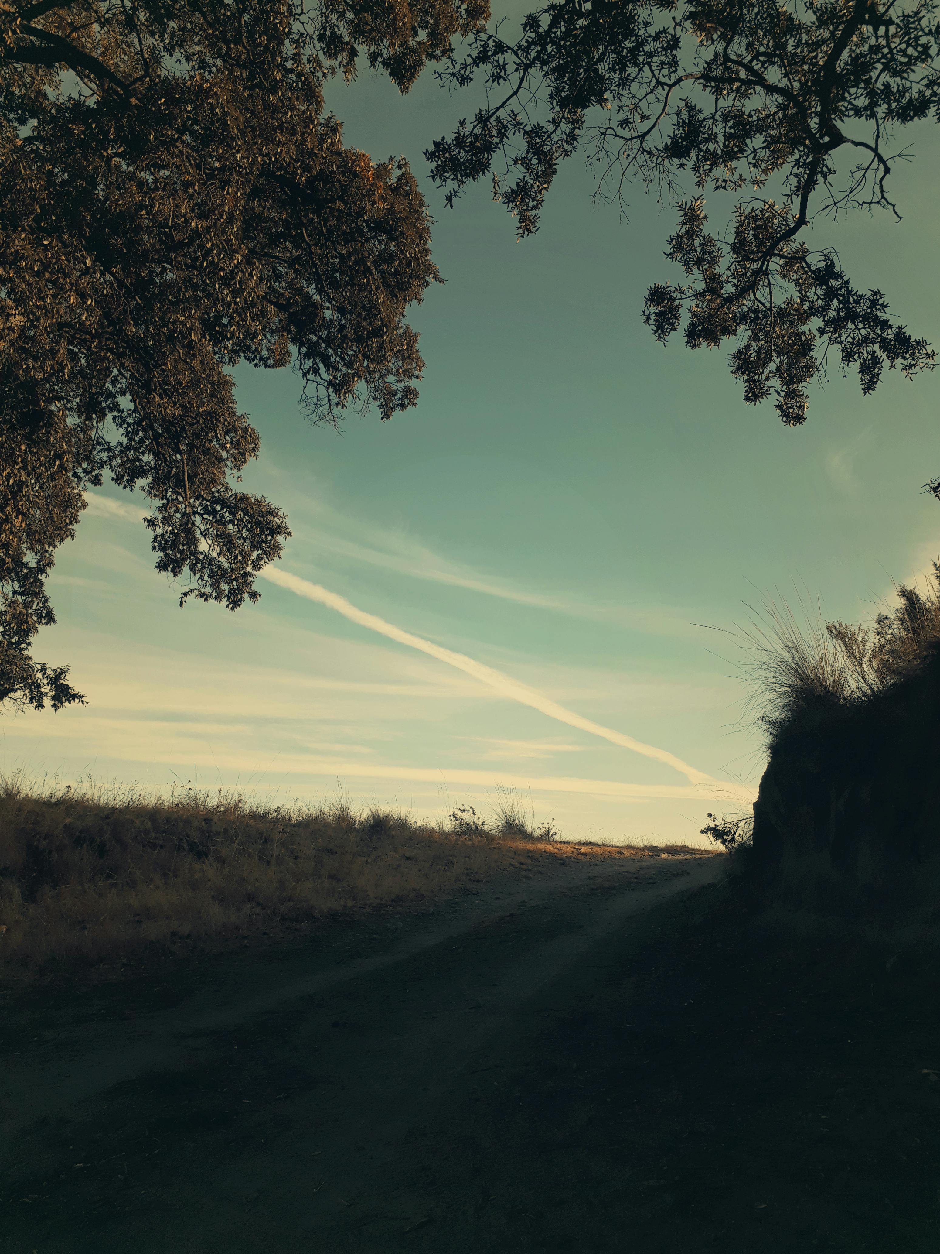 Free stock photo of contrails, dirt road, outdoor