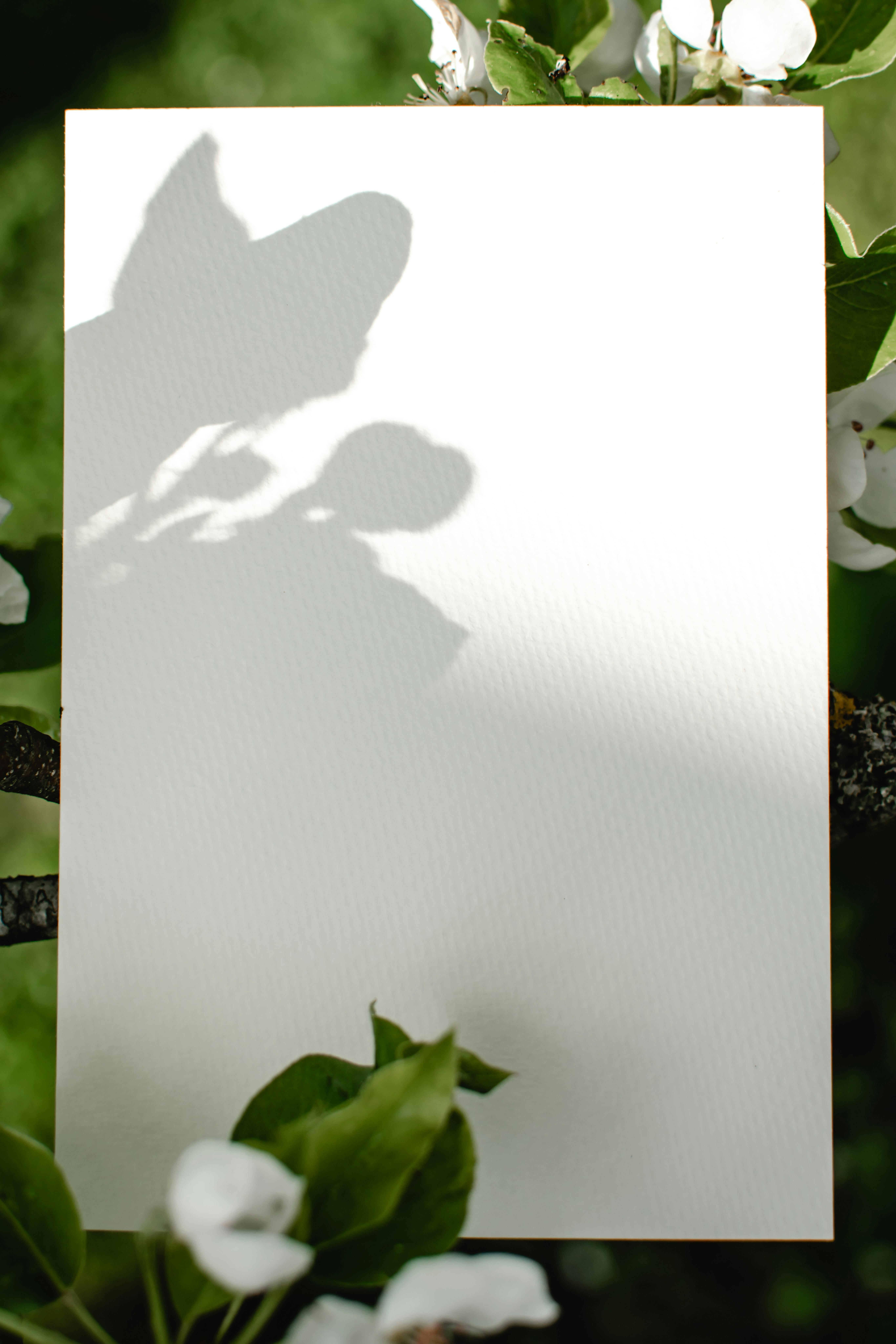 blank white paper on leafy background