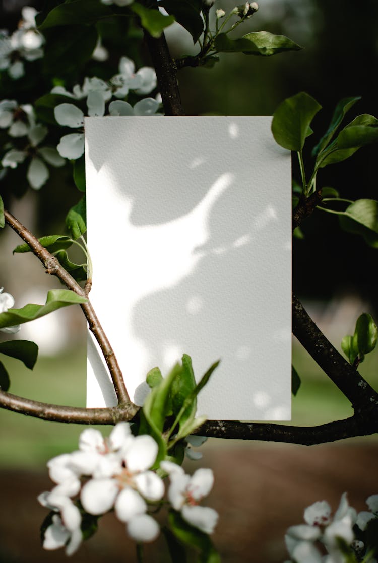White Paper On Tree Branch With Flowers