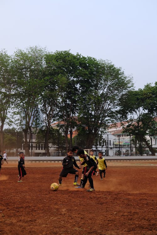 Photo of Young Boys Playing Soccer 