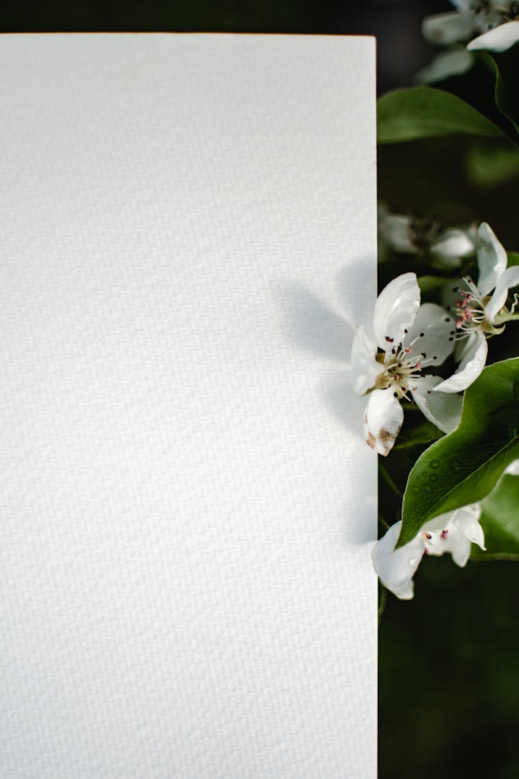 Close Up Photo Of A Textured Paper