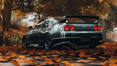 Back View of a Gray Nissan Skyline