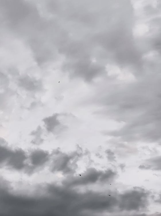 Foto de stock gratuita sobre blanco, cielo, fondo, fondo de pantalla, nubes,  tiro vertical