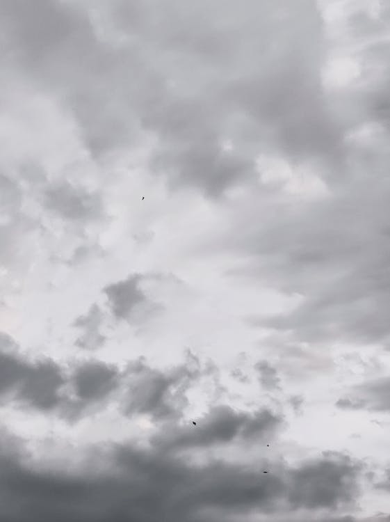 Foto de stock gratuita sobre blanco, cielo, fondo, fondo de pantalla, nubes, tiro vertical Foto de stock gratuita sobre blanco, cielo, fondo, fondo de pantalla, nubes, tiro vertical