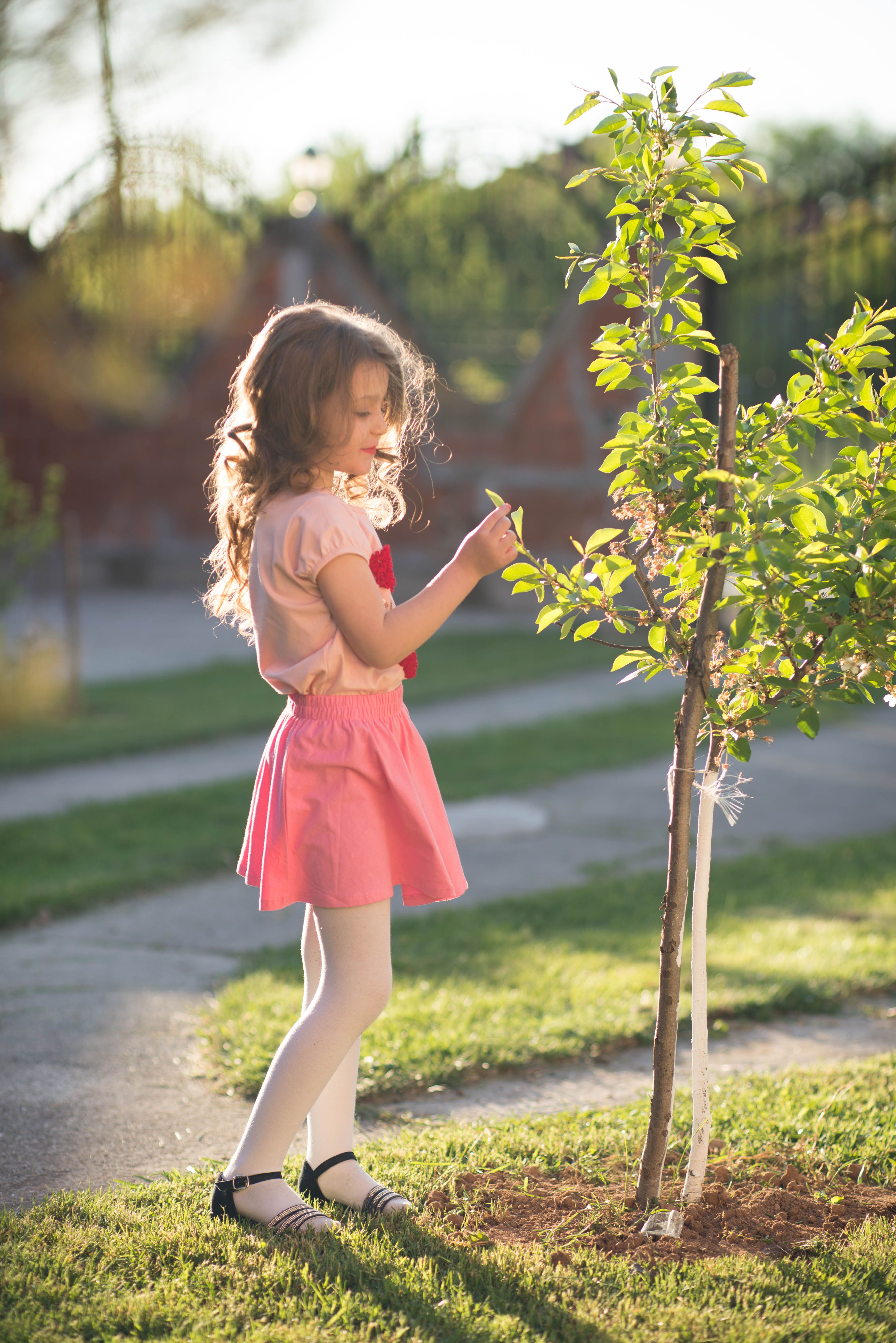 A Girl in Pink Dress · Free Stock Photo