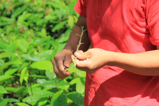 Close-up of a person holding a plant stem in a vibrant outdoor garden setting.