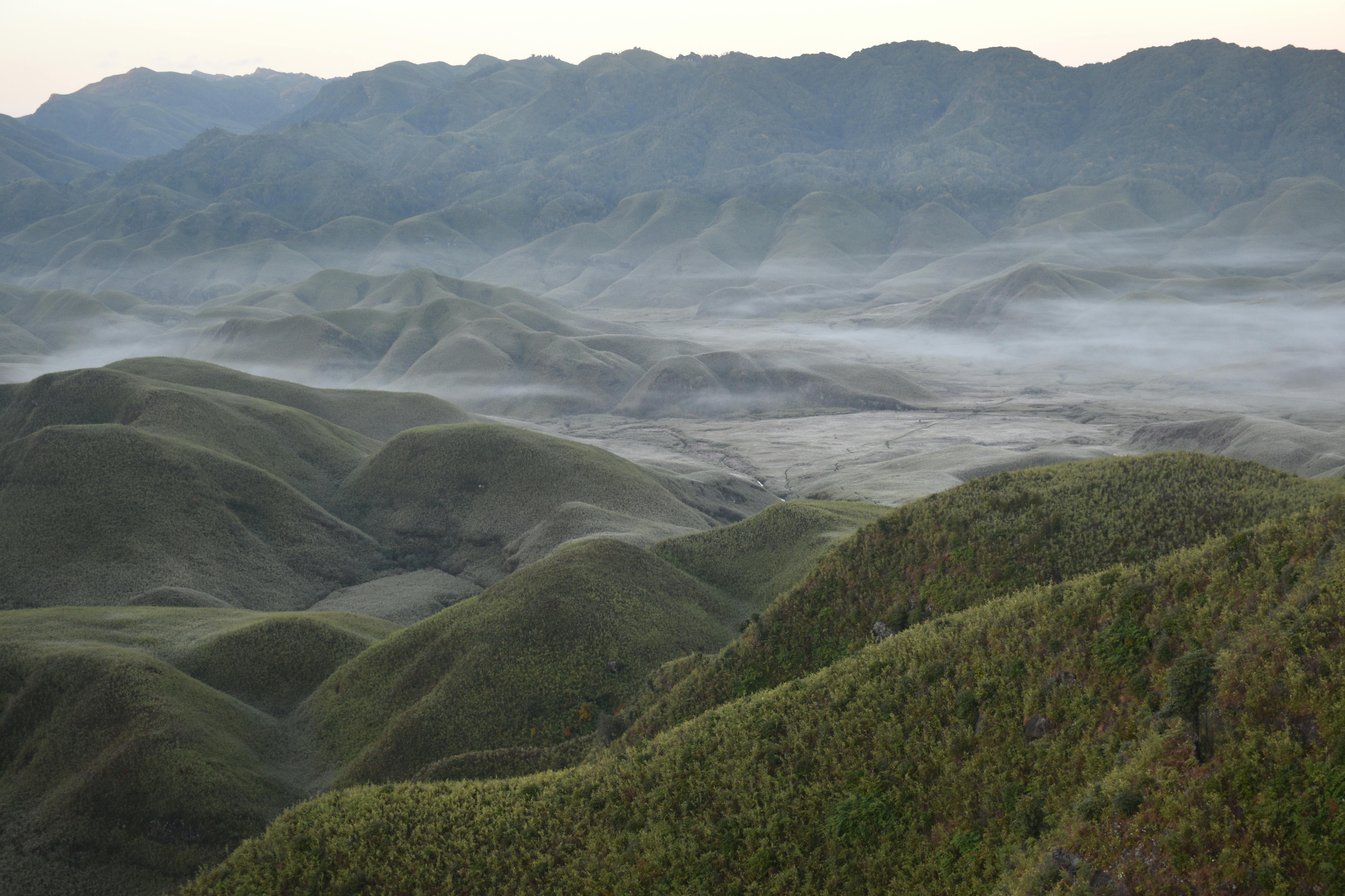 Dzukou Valley