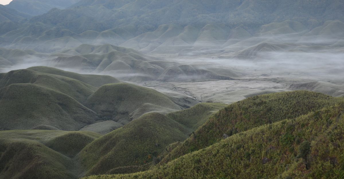 Exploring Manipur's Rich Natural Heritage: From Loktak Lake to the Sacred Groves