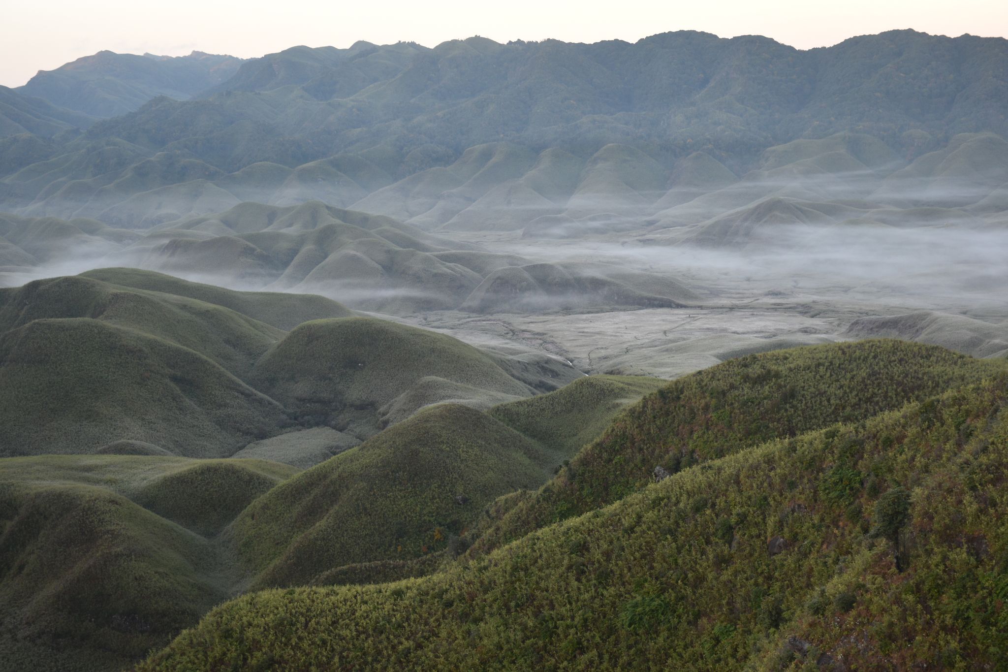 Dzukou Campsite