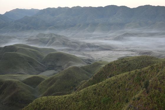 Dzukou Campsite