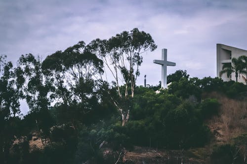 그리스도, 십자가의 무료 스톡 사진