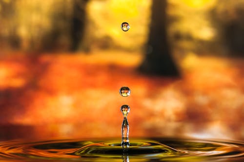 A Close-Up Shot of a Water Drop