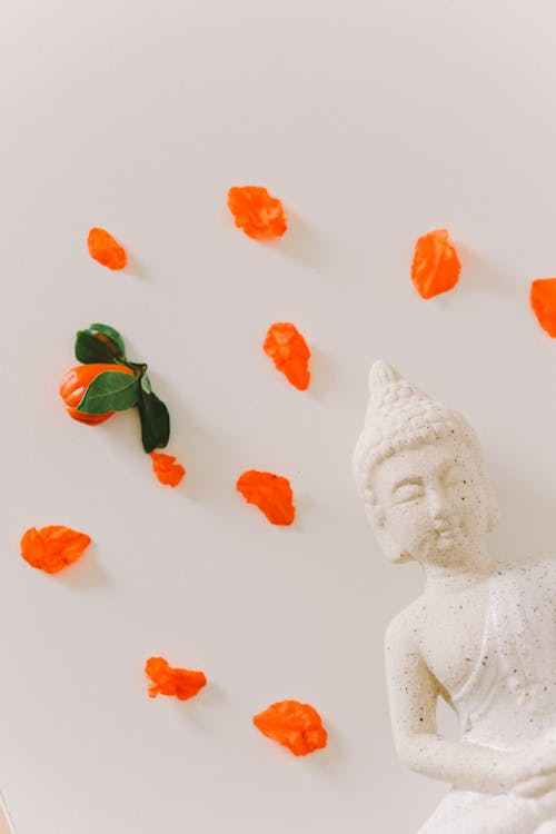 Foto stok gratis Agama Buddha, akar sayuran, alam