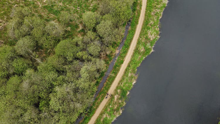 Aerial View Of Cyclists On Road Between Forest And River