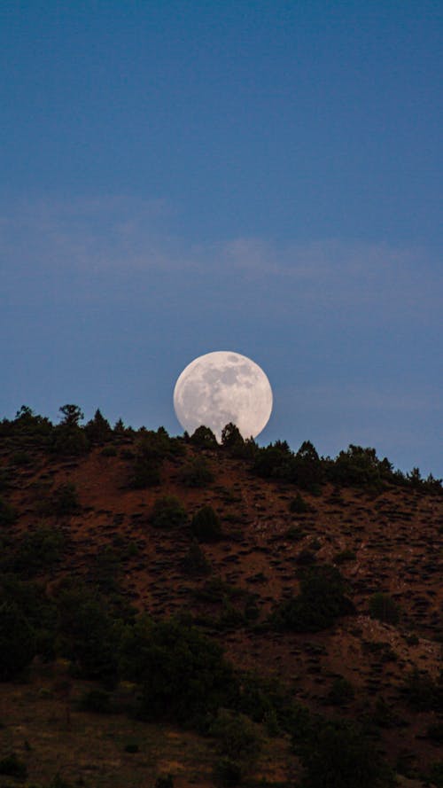 คลังภาพถ่ายฟรี ของ ความงาม, จันทรา, ดวงจันทร์ขนาดใหญ่