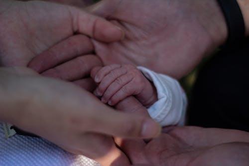 Immagine gratuita di appoggiarsi a portata di mano, bambino piccolo, comprensione